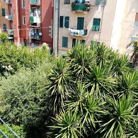 Casa Marina Apartment *